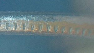 2000-P-Washington-Quarter-Off-Center-Or-Broad-Struck-Or-Both?